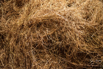 Dry hay background close up