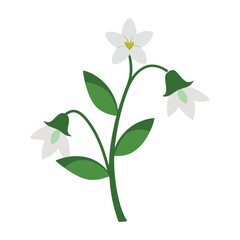 White Flowers Stalk Vector Illustration ? Cartoon, Clipart & Line Art Design.eps