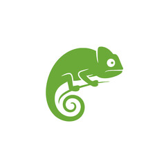 Fototapeta premium Chameleon Vector Logo Design