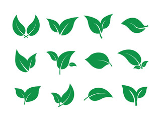 fresh modern vector leaf icon set