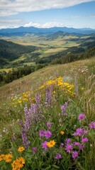 Obraz premium Breathtaking scenic view of wildflowers blooming on a mountainside with lush green valley and blue sky background