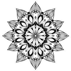 Fototapeta premium Intricate Mandala Design