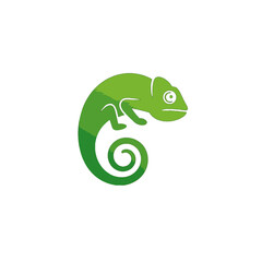 Fototapeta premium Chameleon Vector Logo Design