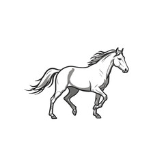 Fototapeta premium Horse Vector Logo Design