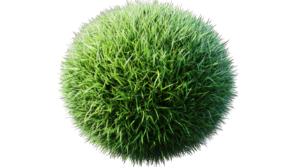 Lush spherical green grass ball, fresh texture, isolated on a transparent or white background. --ar 16:9