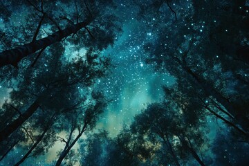 Obraz premium A magical forest at night with the northern lights in shimmering blue and green colors dancing above, creating an enchanting atmosphere.