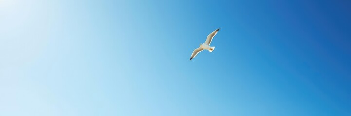 Obraz premium Under the vast expanse of a brilliant blue sky a lone seagull cuts through the air with agile precision and speed, clear blue sky, dynamic scene, wildlife on wing