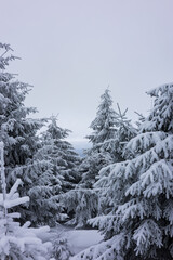 Tantalizing distance 