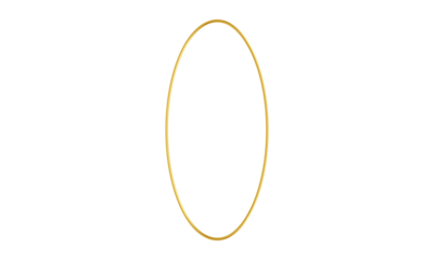 Luxury design. Decorative gold frame. Vintage style. Design elements PNG
