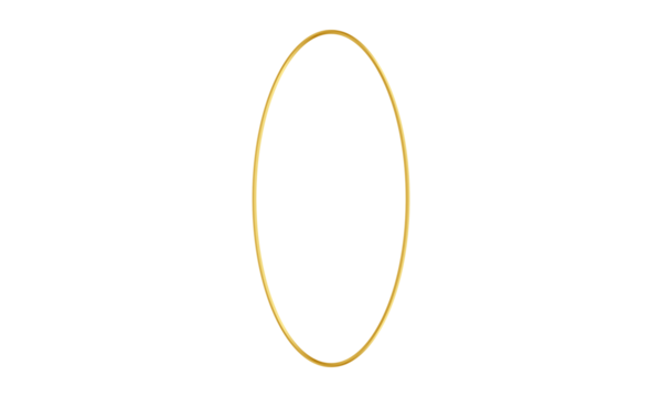 Luxury design. Decorative gold frame. Vintage style. Design elements PNG
