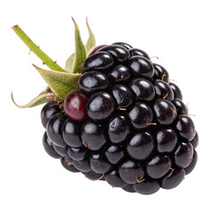 Blackberry realistic fruit isolated on transparent background