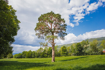 Norwegian Culture landscape