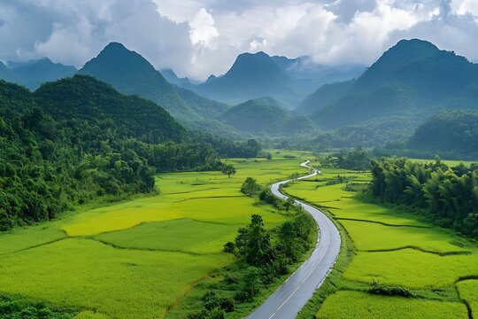 Winding Road Through Lush Green Rice Fields and Mountains