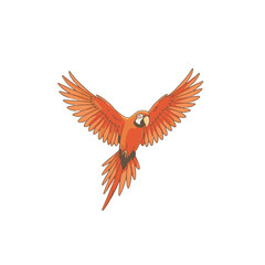 Obraz premium Parrot Vector Logo Design