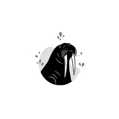 Walrus Vector Logo Design
