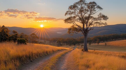 A sunlit dirt road leads through an open grassy landscape