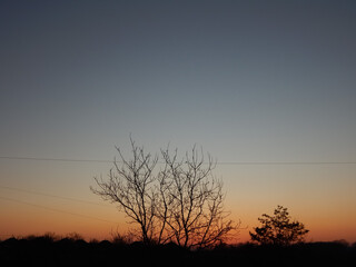 a serene sunset with a clear gradient sky transitioning from deep blue at the top to warm orange near the horizon. Silhouettes of bare trees and are visible against the colorful backdrop.