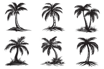 Tropical Palm Tree Vector Set - Exotic Summer Illustration for Branding, Beach-Themed Designs, and Digital Artwork