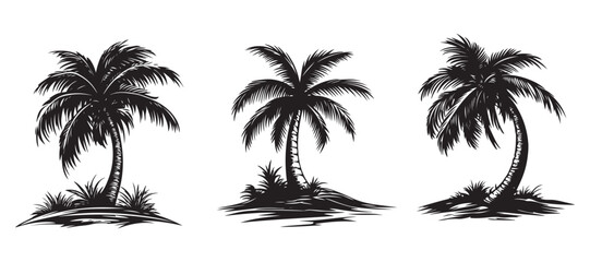 Tropical Palm Tree Vector Set - Exotic Summer Illustration for Branding, Beach-Themed Designs, and Digital Artwork