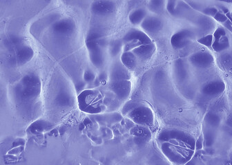Vibrant purple gel texture with light reflections and small air bubbles. The abstract violet...