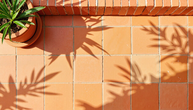 Sunbeam shadows creating patterns on terracotta patio, summer warmth