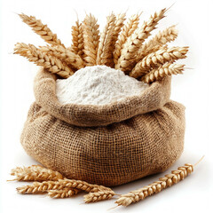 Whole Wheat Flour Isolated