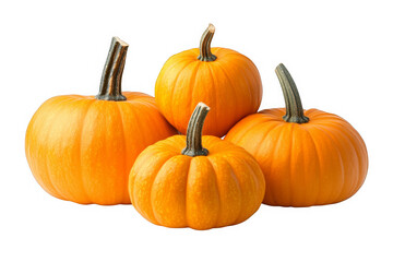 A Pile of Fresh Orange Pumpkins