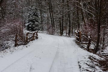 Las zimą. Drzewa, ziemię i przebiegającą między drzewami drogę pokrywa gruba warstwa śniegu. Przy drodze znajdują się zrobione z surowego drewna barierki. © boguslavus