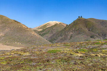 Coast trail with vegetation and mountains