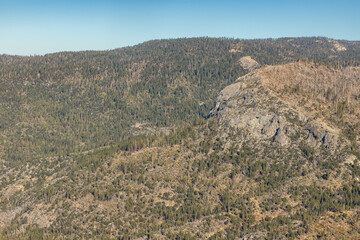 Pine trees and mountains in Yosemite park