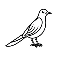 bird on a branch