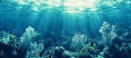 Fototapeta premium Sunbeams Illuminate Vibrant Coral Reef, Underwater Scene, Ocean Life Ocean Photography, Underwater World