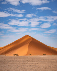 Dune 45 (portrait format)