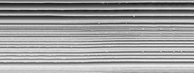Obraz premium Hojas de papel de un libro