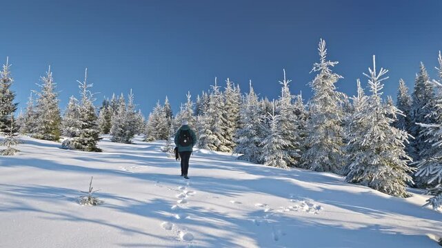 Girl with dog walking through snow among trees covered snow. Winter hike in mountains. Adventures in mountains.