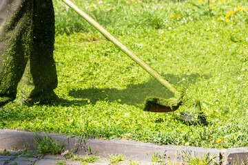 grass cutting in the park with trimmer. sunny outdoor background. lawn care nature concept. urban nature in spring season