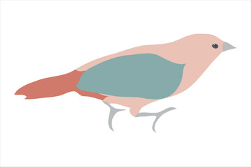 vector illustration of a bird minimal 2d color