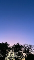 Gradient Sunset Over Tree Silhouettes
