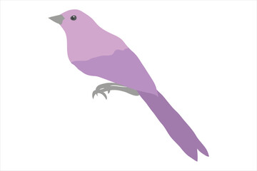 Obraz premium Vector illustration of a bird on a branch with a silhouette of a crow, showcasing nature and wildlife in a simple, cute design