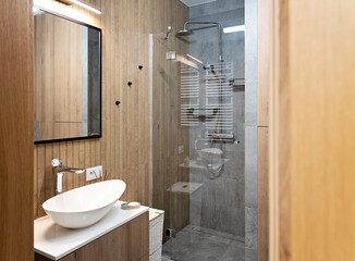 Modern bathroom with shower with glass and ceramic washbasin on the cabinet and wood on the wall. Stylish interior in a cottage in vintage style.