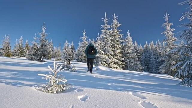Girl with dog walking through snow among trees covered snow. Winter hike in mountains. Adventures in mountains.