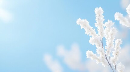 Winter plants against a bright sky. Possible use nature background