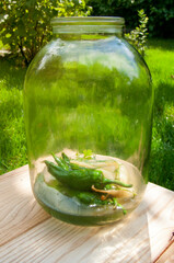 The photo shows canned chili peppers in a glass jar. Green peppers float in brine against a garden background.