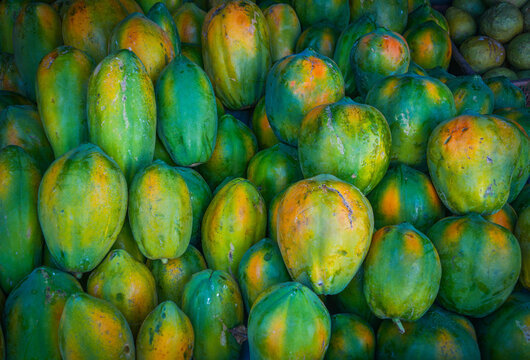 Ripe fruits of yellow papaya stacked at a local market of fruit and vegetable in Sri Lanka
