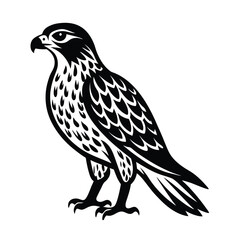 Obraz premium bird of prey