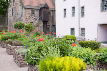 Raised beds in Physic Garden, Edinburgh, UK