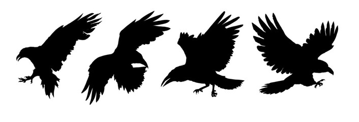 flying raven silhouette set - vector illustration