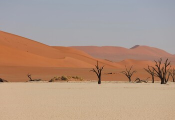 sand dunes in Deadvlei & Sossussvlei in Namibia