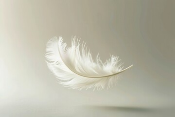 Fototapeta premium Floating white feather on clean background minimalist aesthetic studio view