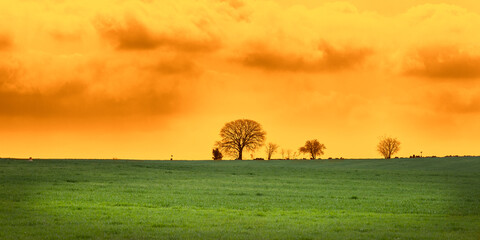 Rural skyline with unreal colors